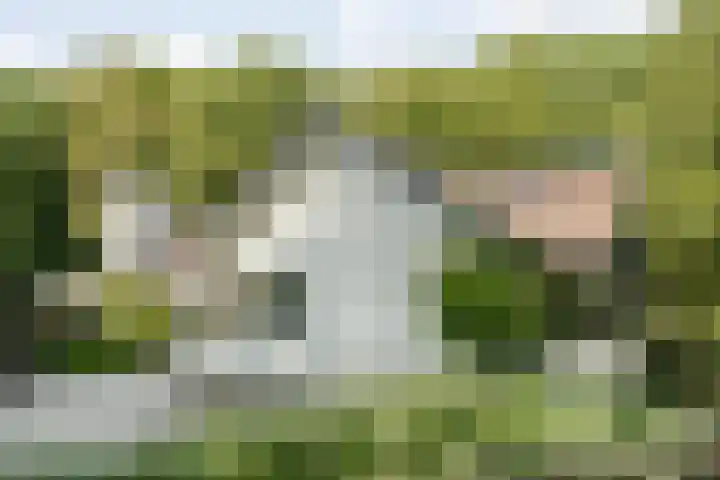 Hoevebrink 15 Zwolle thumbnail 65