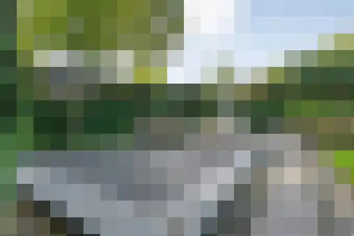 Hoevebrink 15 Zwolle thumbnail 71