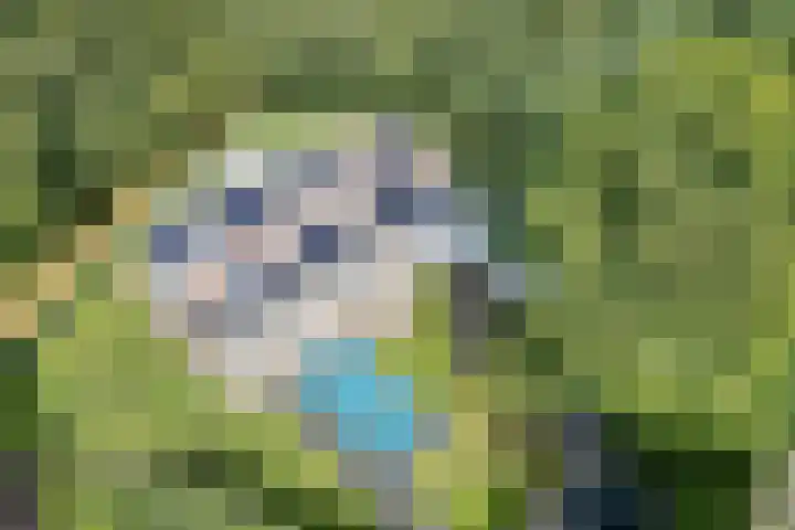 Hoevebrink 15 Zwolle thumbnail 72
