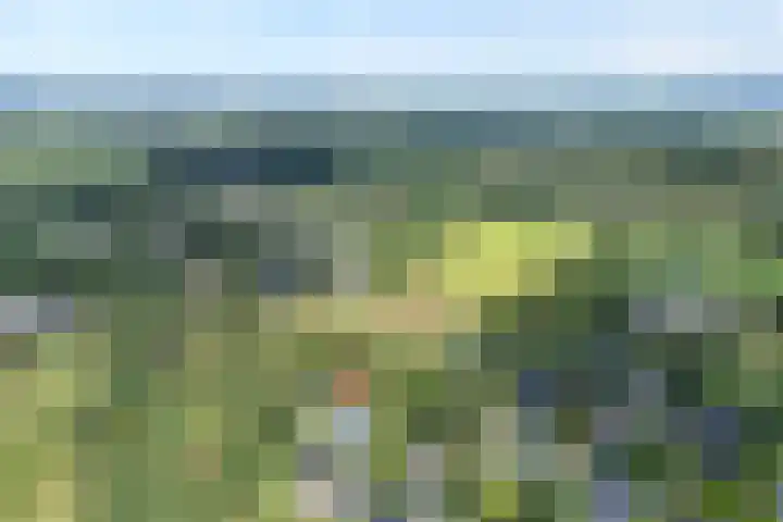 Hoevebrink 15 Zwolle thumbnail 74