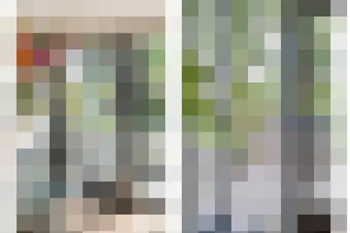 Hoevebrink 15 Zwolle thumbnail 8