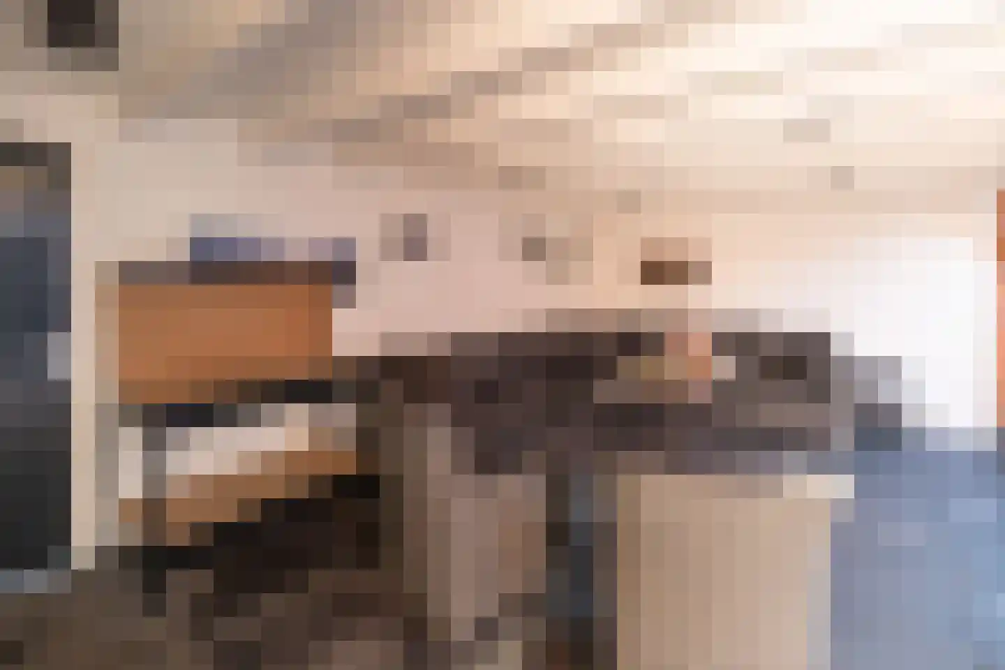 Hoevedorp 22 Kootwijkerbroek thumbnail 39