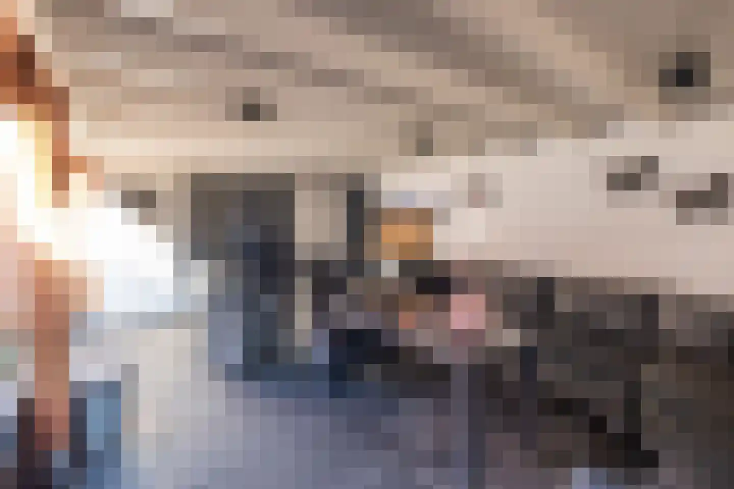 Hoevedorp 22 Kootwijkerbroek thumbnail 40