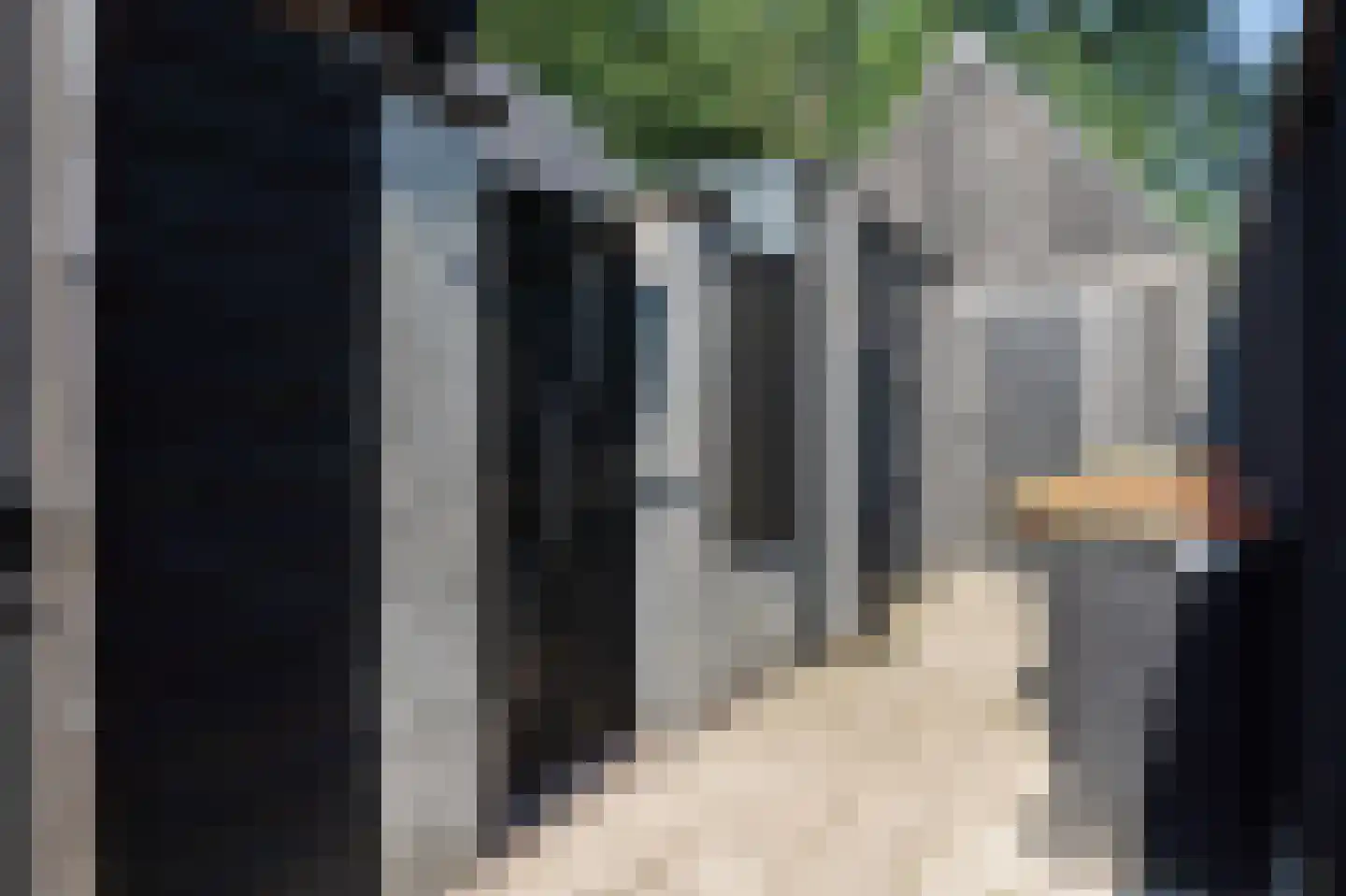 Hoevedorp 42 Kootwijkerbroek thumbnail 40