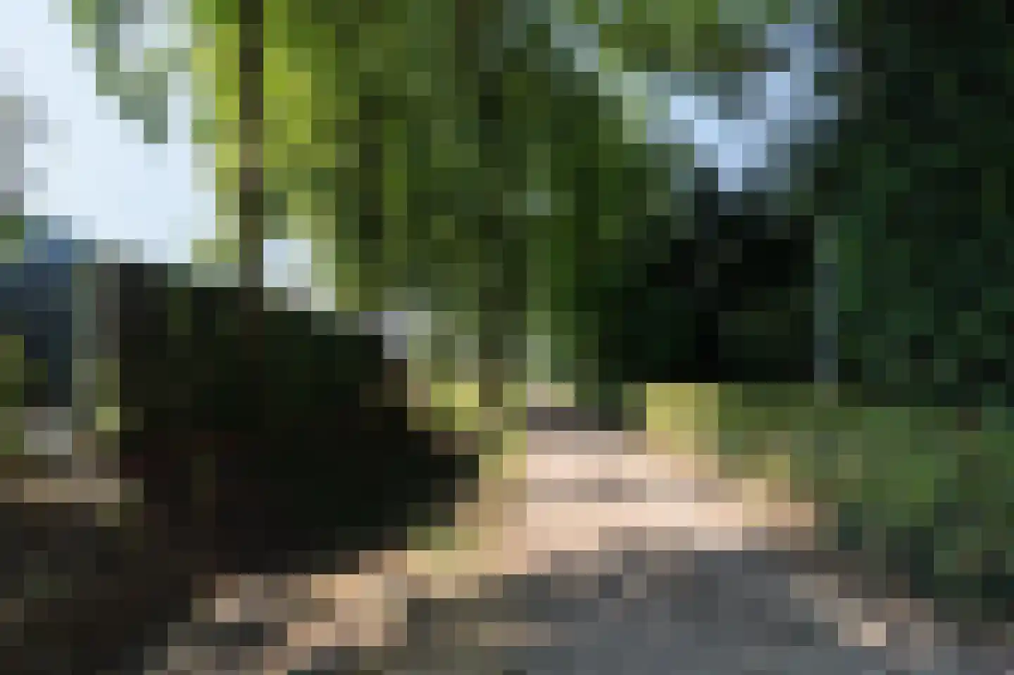 Hoevedorp 42 Kootwijkerbroek thumbnail 46
