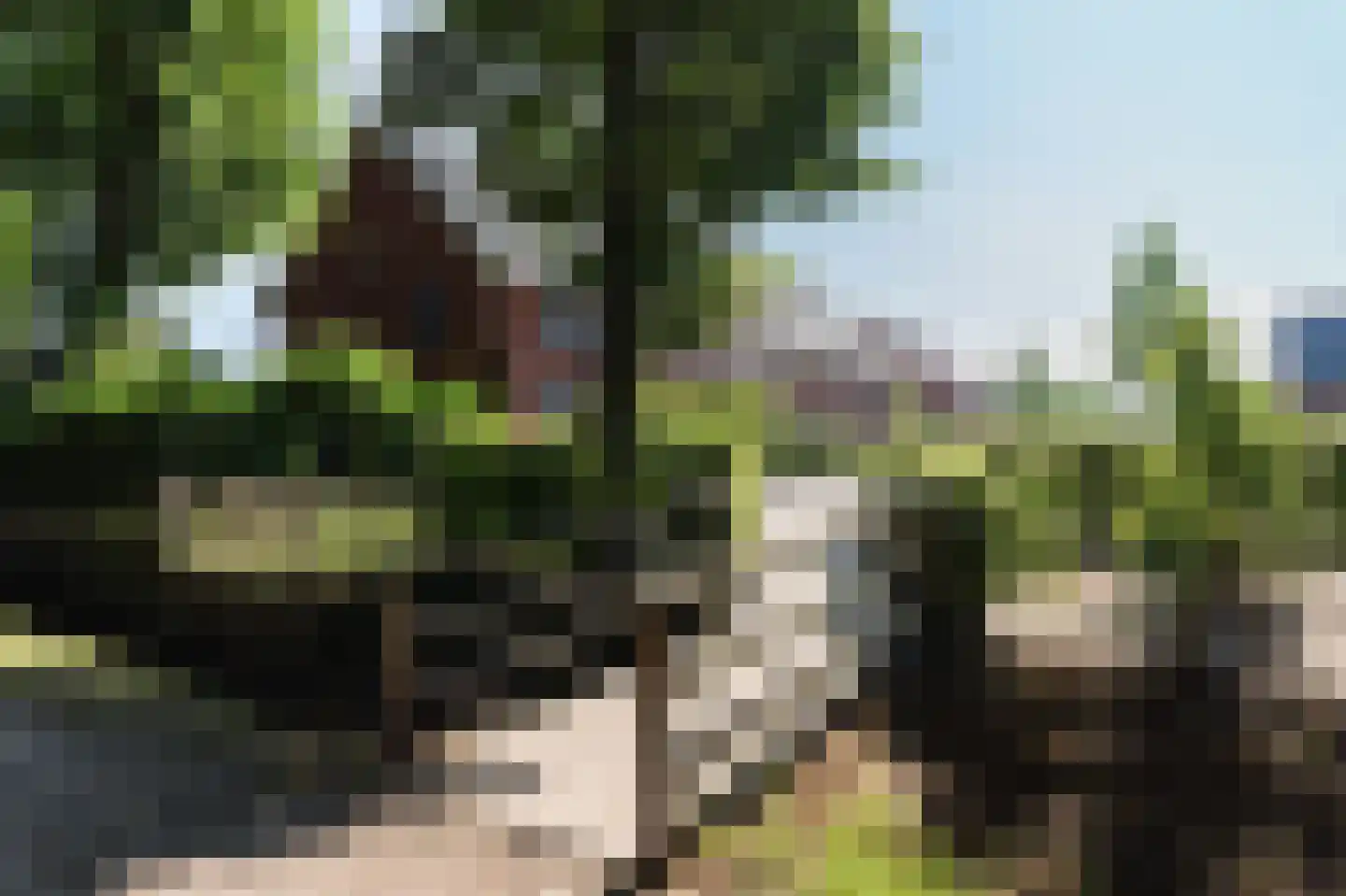 Hoevedorp 42 Kootwijkerbroek thumbnail 48