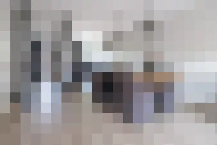 Hoevedorp 44 Kootwijkerbroek thumbnail 10