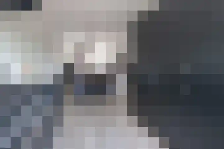 Hoevedorp 44 Kootwijkerbroek thumbnail 13