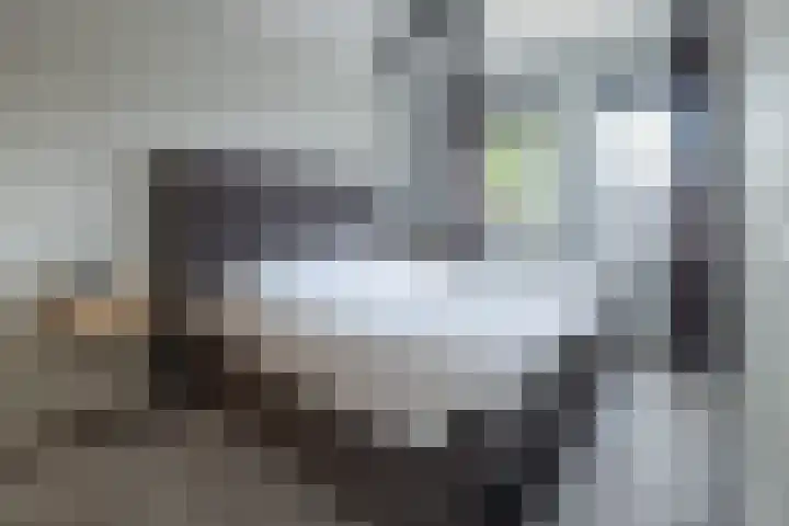Hoevedorp 44 Kootwijkerbroek thumbnail 15