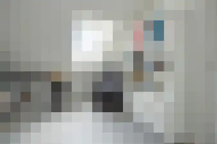 Hoevedorp 44 Kootwijkerbroek thumbnail 29