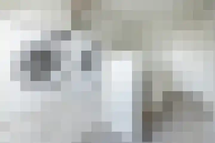Hoevedorp 44 Kootwijkerbroek thumbnail 30