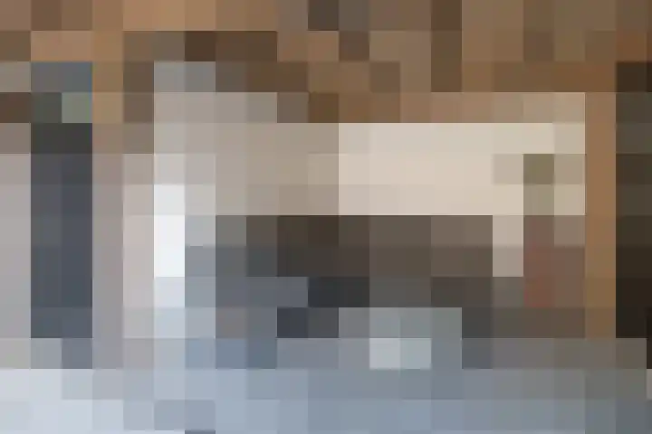 Hoevedorp 44 Kootwijkerbroek thumbnail 35