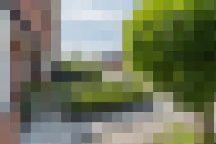 Hoevedorp 44 Kootwijkerbroek thumbnail 38