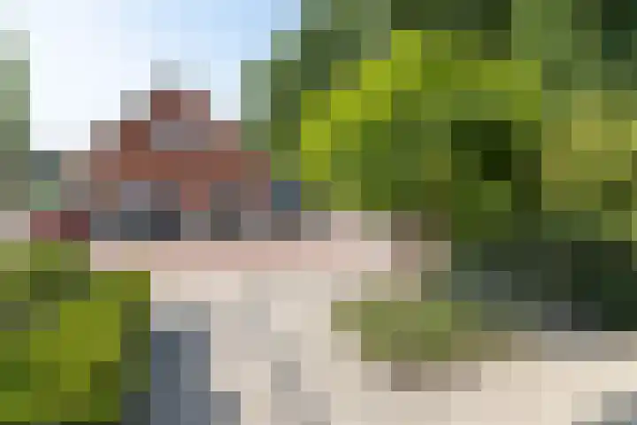 Hoevedorp 44 Kootwijkerbroek thumbnail 39