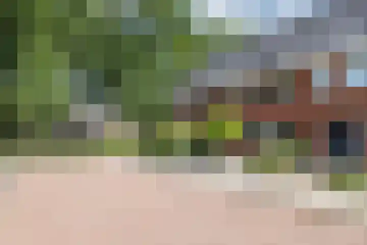 Hoevedorp 44 Kootwijkerbroek thumbnail 42