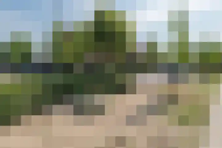 Hoevedorp 44 Kootwijkerbroek thumbnail 44