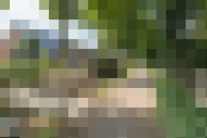 Hoevedorp 44 Kootwijkerbroek thumbnail 45