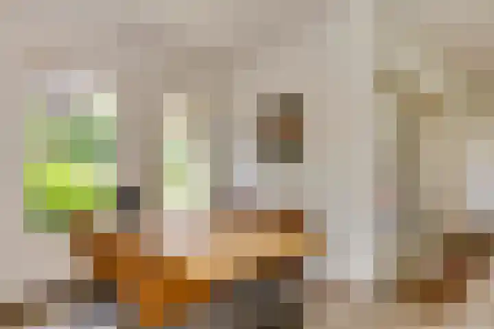 Hoevehei 27 Veldhoven thumbnail 14