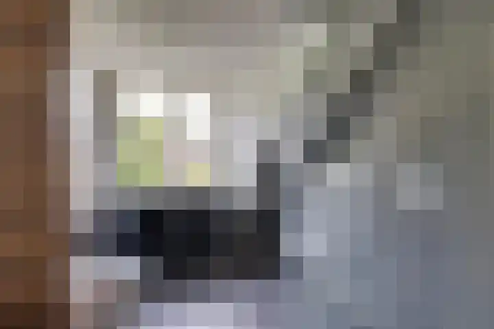 Hoevehei 27 Veldhoven thumbnail 22