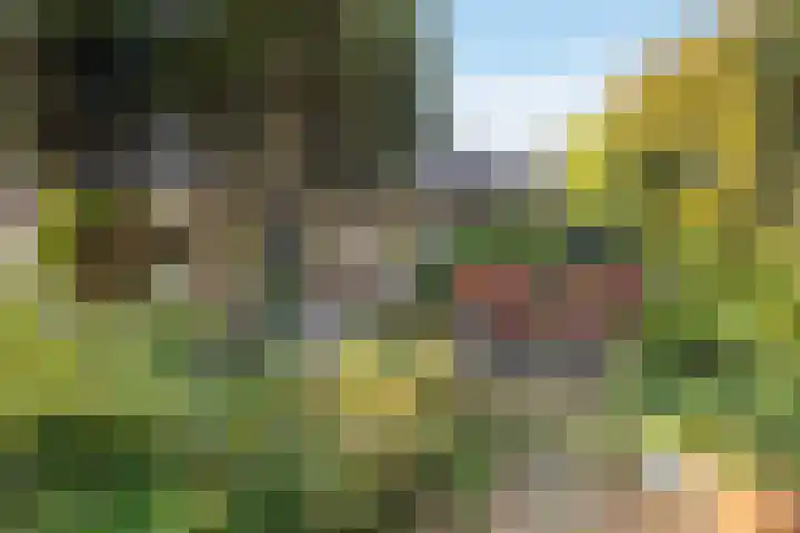 Hoevehei 27 Veldhoven thumbnail 30