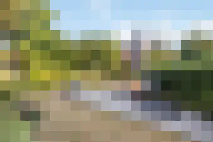 Hoevehei 27 Veldhoven thumbnail 31