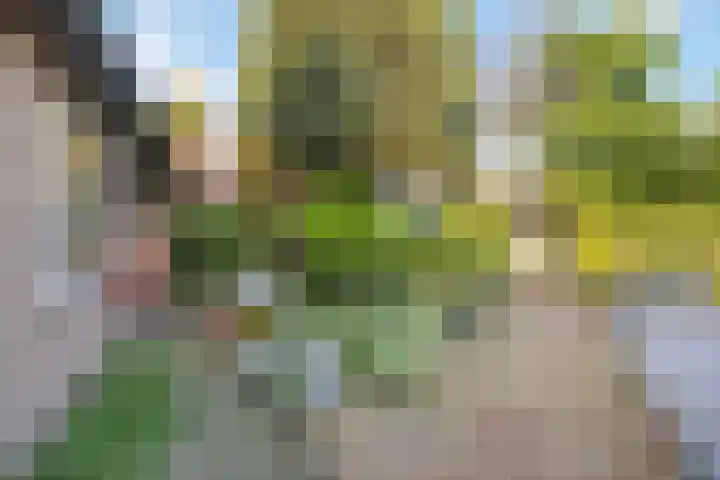 Hoevehei 27 Veldhoven thumbnail 37