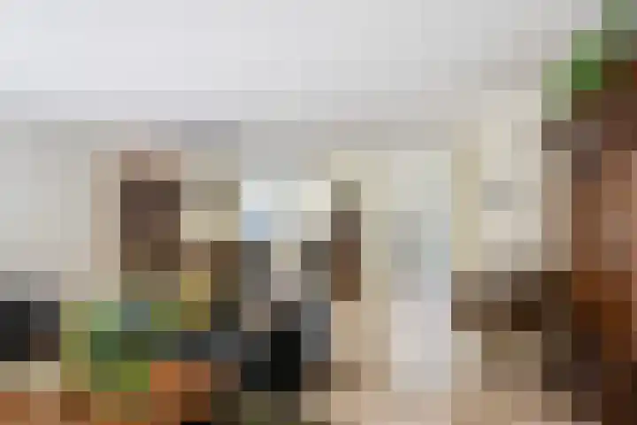 Hoevelaan 5 Monster thumbnail 12