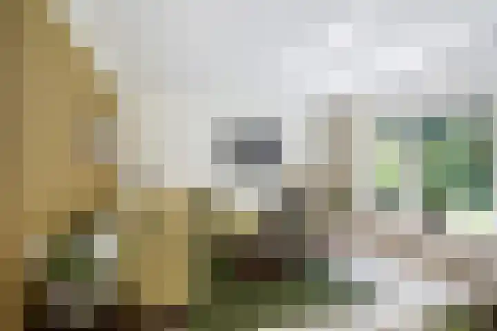 Hoevelaan 5 Monster thumbnail 13