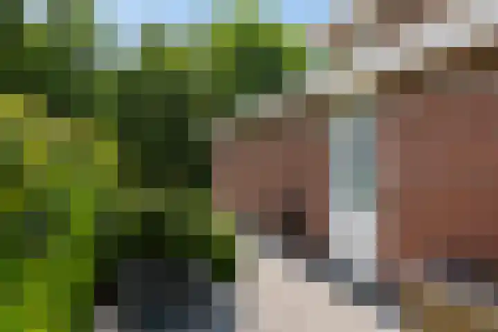 Hoevelaan 5 Monster thumbnail 19