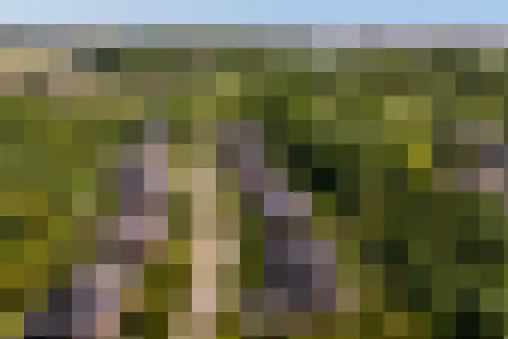 Hoevelaan 5 Monster thumbnail 40