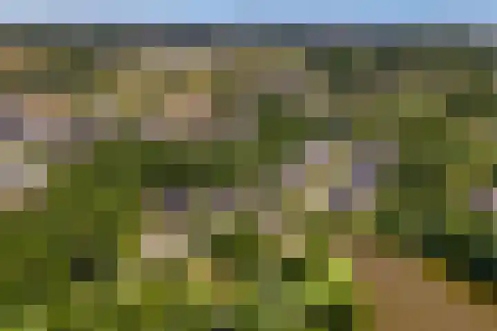 Hoevelaan 5 Monster thumbnail 42