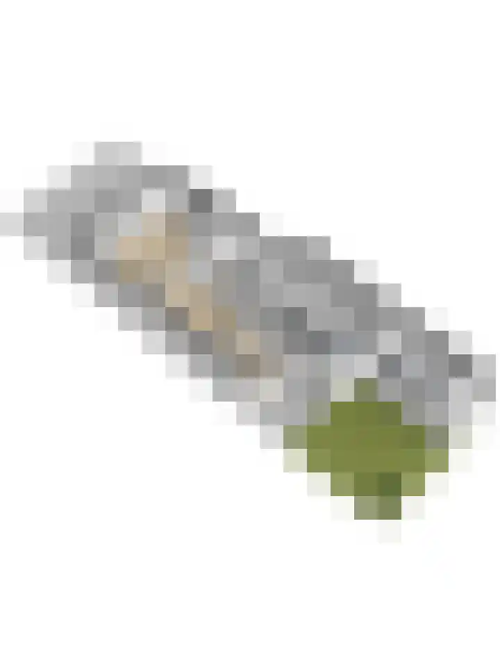 Hoevelaan 5 Monster thumbnail 9