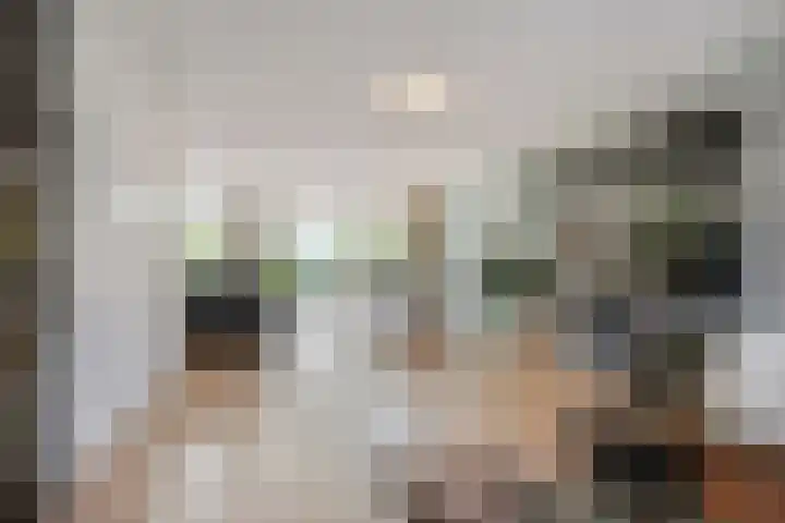 Hoevelaan 8 Venray thumbnail 10