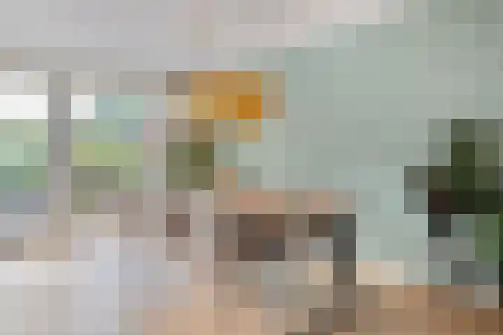 Hoevelaan 8 Venray thumbnail 12