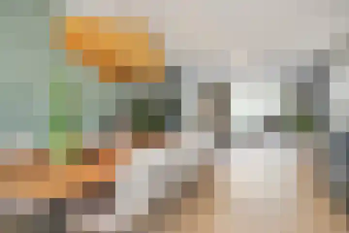 Hoevelaan 8 Venray thumbnail 13