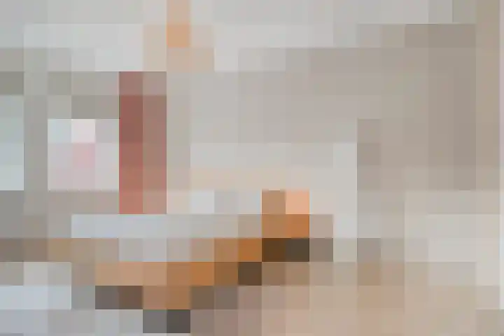Hoevelaan 8 Venray thumbnail 23