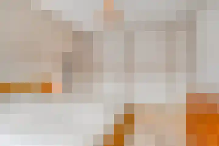 Hoevelaan 8 Venray thumbnail 25