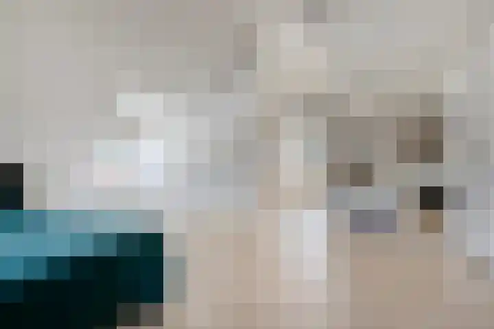 Hoevelaan 8 Venray thumbnail 34