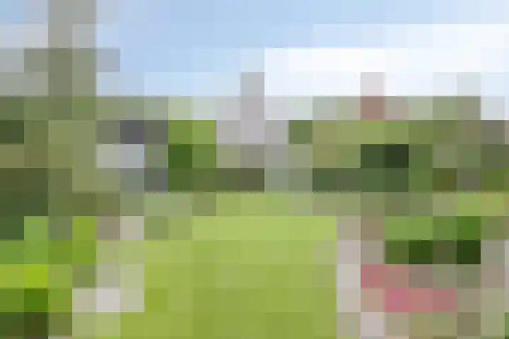 Hoevelaan 8 Venray thumbnail 38