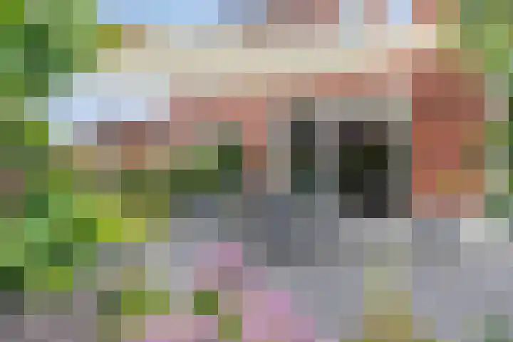 Hoevelaan 8 Venray thumbnail 39