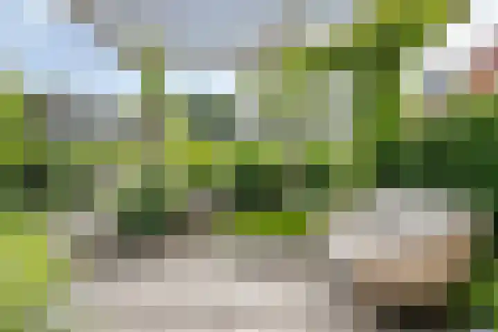 Hoevelaan 8 Venray thumbnail 40