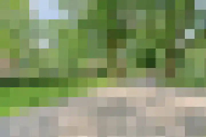Hoevelaan 8 Venray thumbnail 44