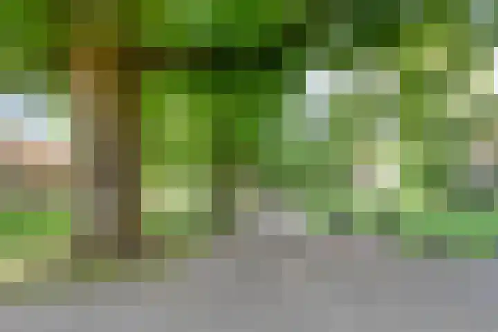 Hoevelaan 8 Venray thumbnail 45