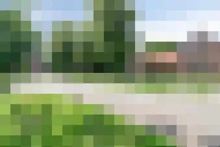 Hoevelaan 8 Venray thumbnail 46