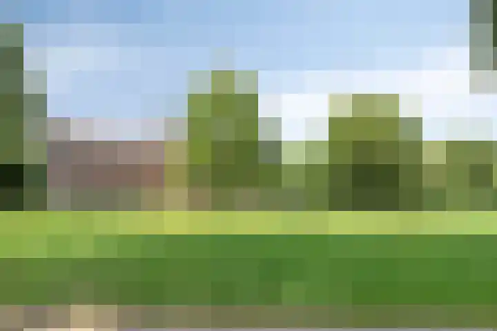 Hoevelaan 8 Venray thumbnail 47