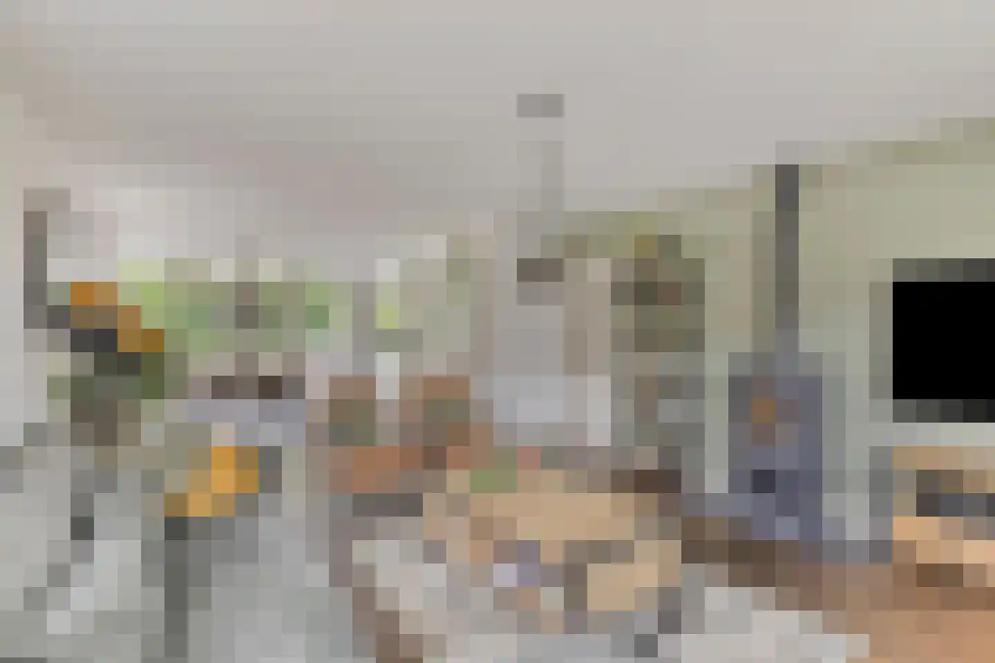 Hoevelakenseweg 130 Terschuur thumbnail 11