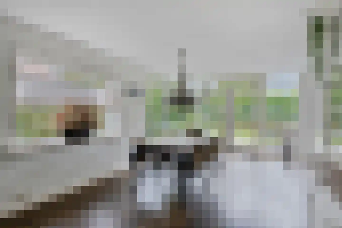 Hoevelakenseweg 130 Terschuur thumbnail 12