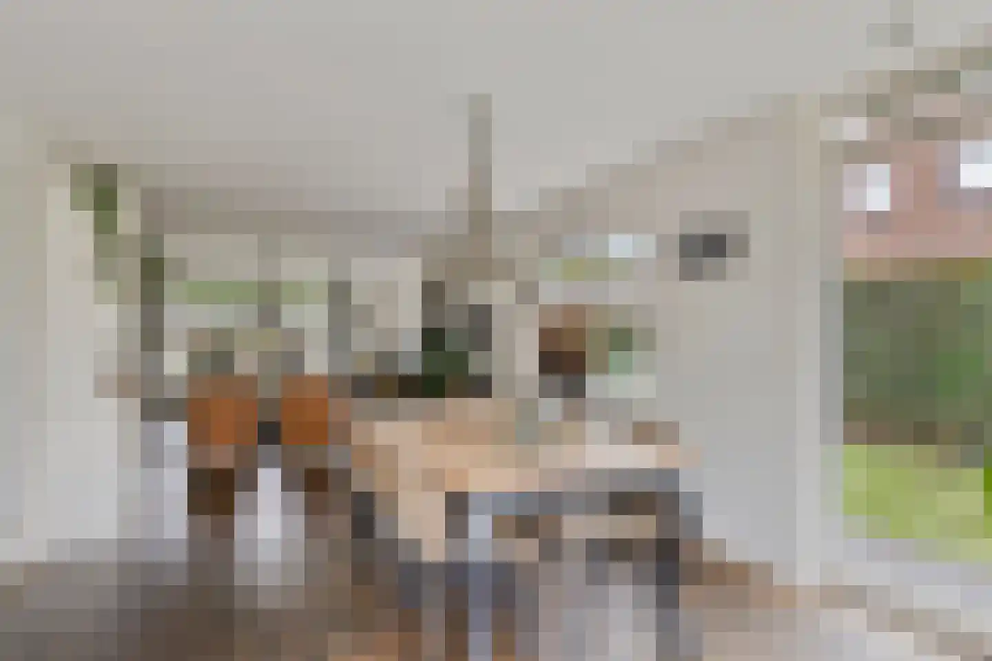 Hoevelakenseweg 130 Terschuur thumbnail 13
