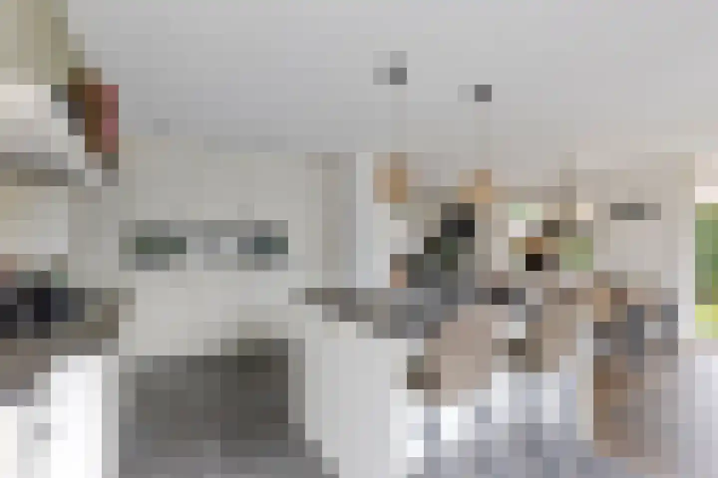 Hoevelakenseweg 130 Terschuur thumbnail 15