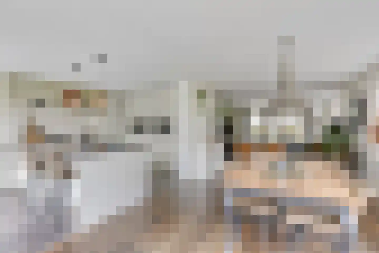 Hoevelakenseweg 130 Terschuur thumbnail 17